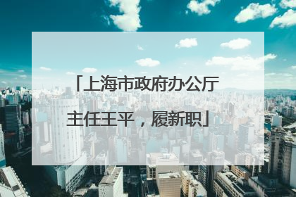 上海市政府办公厅主任王平，履新职