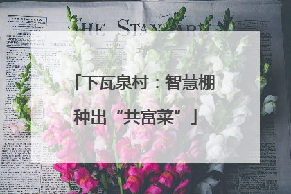 下瓦泉村：智慧棚种出“共富菜”