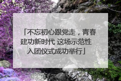 不忘初心跟党走，青春建功新时代 这场示范性入团仪式成功举行
