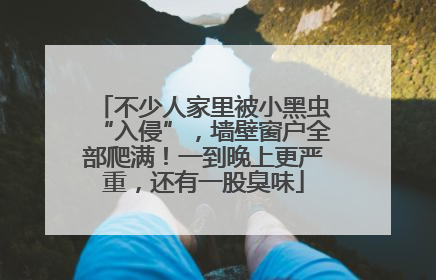 不少人家里被小黑虫“入侵”，墙壁窗户全部爬满！一到晚上更严重，还有一股臭味