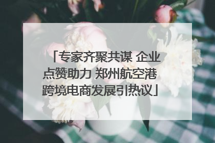 专家齐聚共谋 企业点赞助力 郑州航空港跨境电商发展引热议