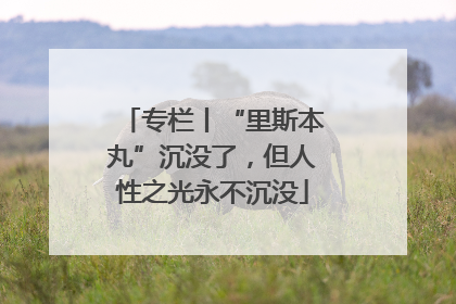 专栏丨“里斯本丸”沉没了，但人性之光永不沉没