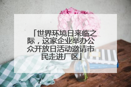 世界环境日来临之际，这家企业举办公众开放日活动邀请市民走进厂区
