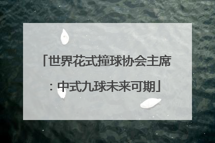 世界花式撞球协会主席：中式九球未来可期