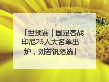 世预赛｜国足客战印尼25人大名单出炉，刘若钒落选