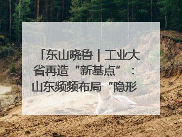 东山晓鲁｜工业大省再造“新基点”：山东频频布局“隐形冠军”背后