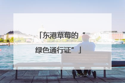 东港草莓的“绿色通行证”