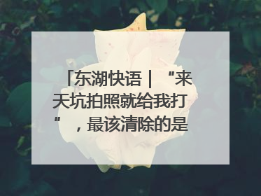 东湖快语｜“来天坑拍照就给我打”，最该清除的是“护短”思维