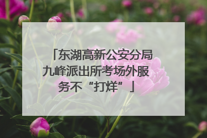 东湖高新公安分局九峰派出所考场外服务不“打烊”