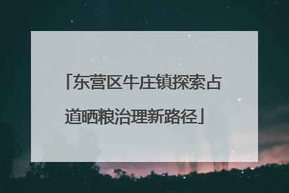 东营区牛庄镇探索占道晒粮治理新路径