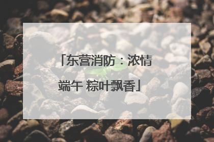 东营消防：浓情端午 粽叶飘香