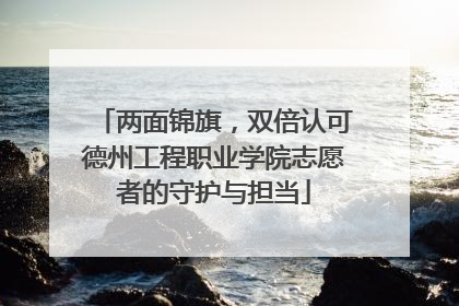两面锦旗，双倍认可德州工程职业学院志愿者的守护与担当