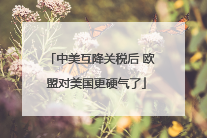 中美互降关税后 欧盟对美国更硬气了
