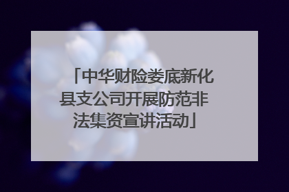 中华财险娄底新化县支公司开展防范非法集资宣讲活动