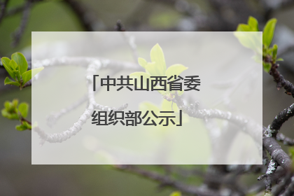 中共山西省委组织部公示