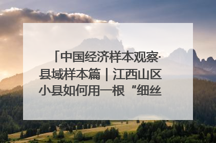 中国经济样本观察·县域样本篇｜江西山区小县如何用一根“细丝”拉出百亿级产业？