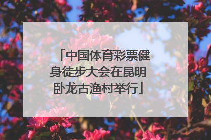 中国体育彩票健身徒步大会在昆明卧龙古渔村举行