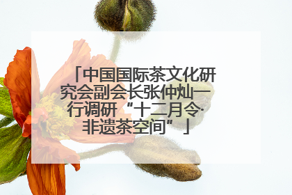 中国国际茶文化研究会副会长张仲灿一行调研“十二月令·非遗茶空间”