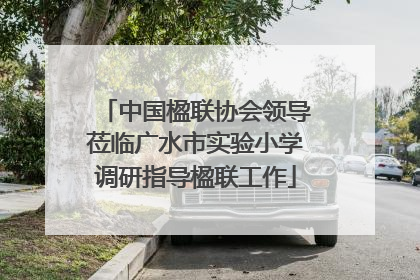 中国楹联协会领导莅临广水市实验小学调研指导楹联工作