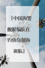 中国海警舰艇编队在钓鱼岛领海巡航