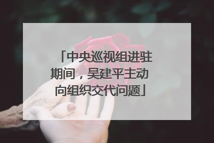 中央巡视组进驻期间，吴建平主动向组织交代问题