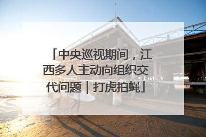 中央巡视期间，江西多人主动向组织交代问题｜打虎拍蝇