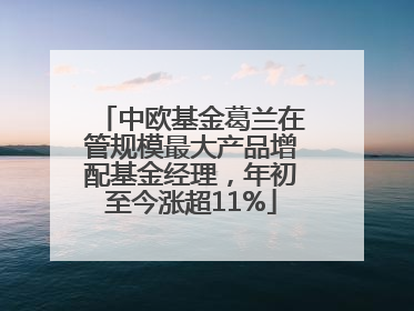 中欧基金葛兰在管规模最大产品增配基金经理，年初至今涨超11%
