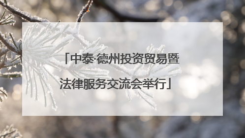 中泰·德州投资贸易暨法律服务交流会举行