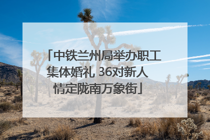 中铁兰州局举办职工集体婚礼 36对新人情定陇南万象街