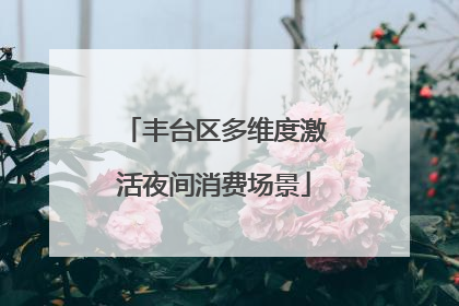 丰台区多维度激活夜间消费场景