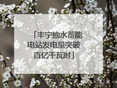 丰宁抽水蓄能电站发电量突破百亿千瓦时
