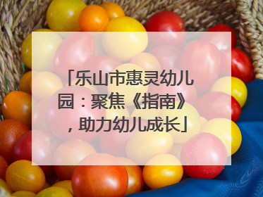 乐山市惠灵幼儿园：聚焦《指南》，助力幼儿成长