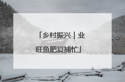 乡村振兴｜业旺鱼肥夏捕忙