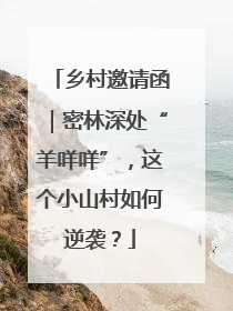 乡村邀请函｜密林深处“羊咩咩”，这个小山村如何逆袭？