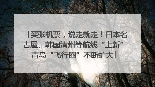 买张机票，说走就走！日本名古屋、韩国清州等航线“上新” 青岛“飞行圈”不断扩大