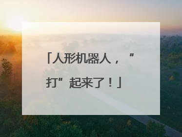 人形机器人，“打”起来了！