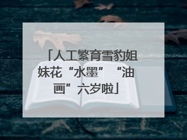 人工繁育雪豹姐妹花“水墨”“油画”六岁啦