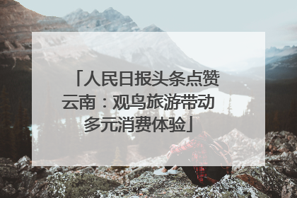 人民日报头条点赞云南：观鸟旅游带动多元消费体验