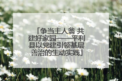 争当主人翁 共建好家园——平利县以党建引领基层善治的生动实践