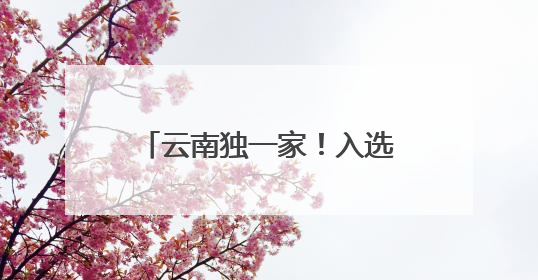 云南独一家！入选生产服务型国家物流枢纽建设名单，玉溪有何优势→