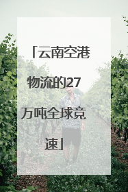 云南空港物流的27万吨全球竞速