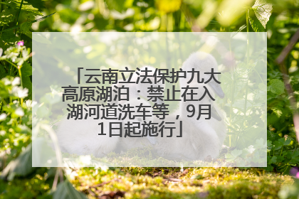 云南立法保护九大高原湖泊：禁止在入湖河道洗车等，9月1日起施行