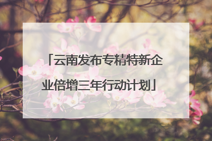 云南发布专精特新企业倍增三年行动计划