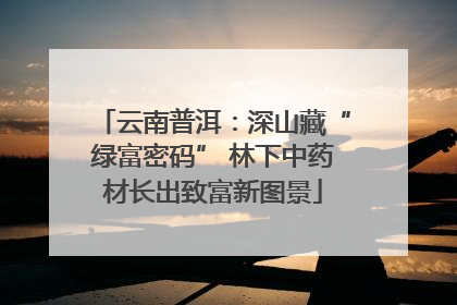 云南普洱：深山藏“绿富密码” 林下中药材长出致富新图景