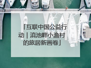 互联中国公益行动｜滇池畔小渔村的旅居新画卷