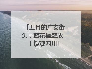 五月的广安街头，蓝花楹盛放丨镜观四川