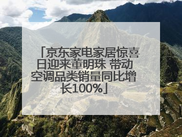 京东家电家居惊喜日迎来董明珠 带动空调品类销量同比增长100%