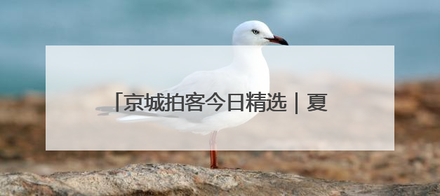 京城拍客今日精选｜夏日麦儿黄，莲叶何田田