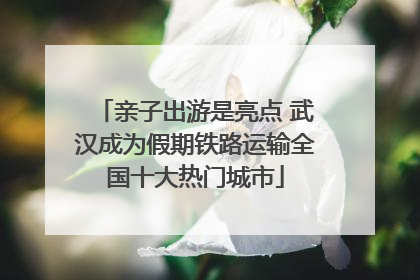 亲子出游是亮点 武汉成为假期铁路运输全国十大热门城市