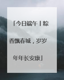 今日端午丨粽香飘春城，岁岁年年长安康